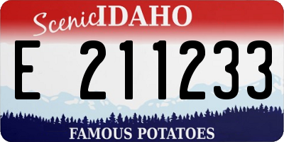 ID license plate E211233