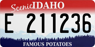 ID license plate E211236