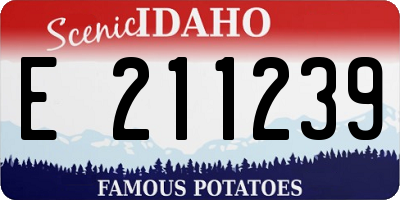 ID license plate E211239