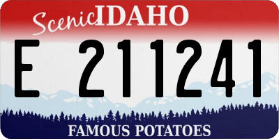 ID license plate E211241