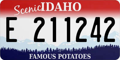 ID license plate E211242