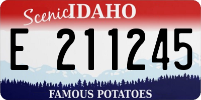ID license plate E211245