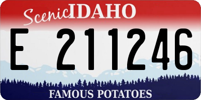 ID license plate E211246