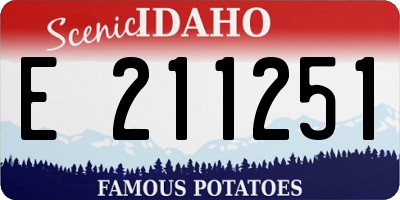 ID license plate E211251