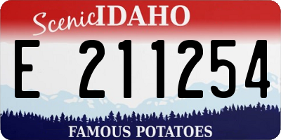 ID license plate E211254
