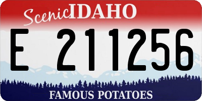 ID license plate E211256