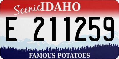 ID license plate E211259
