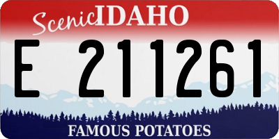 ID license plate E211261