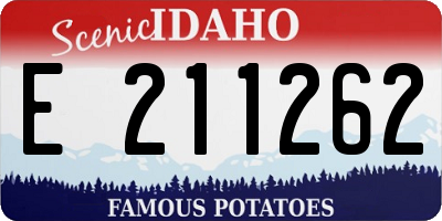 ID license plate E211262