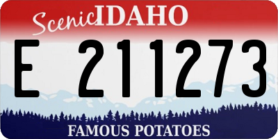 ID license plate E211273