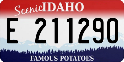 ID license plate E211290
