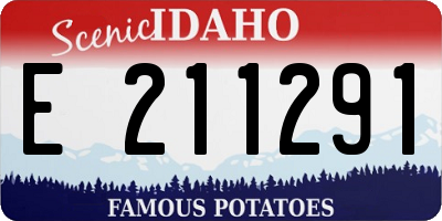 ID license plate E211291