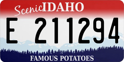 ID license plate E211294