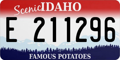 ID license plate E211296