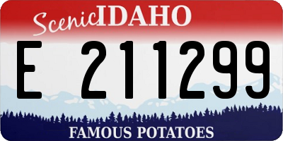 ID license plate E211299