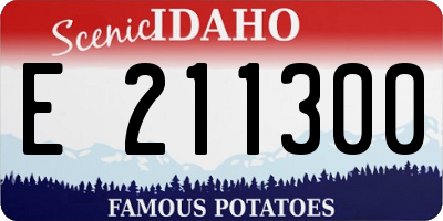 ID license plate E211300