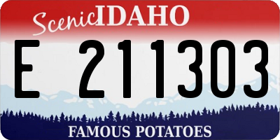 ID license plate E211303