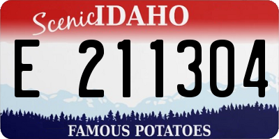ID license plate E211304