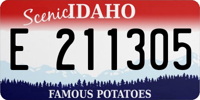 ID license plate E211305
