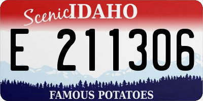 ID license plate E211306