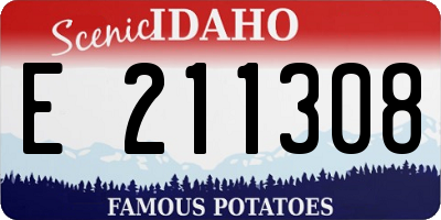 ID license plate E211308