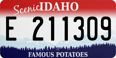 ID license plate E211309