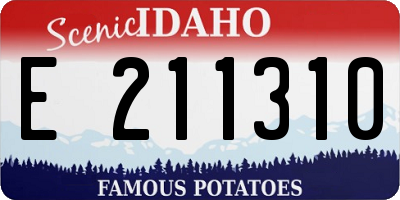 ID license plate E211310
