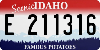 ID license plate E211316