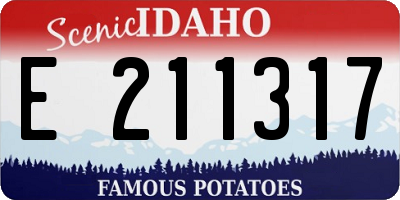 ID license plate E211317