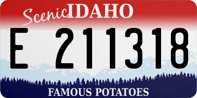 ID license plate E211318