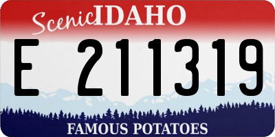 ID license plate E211319