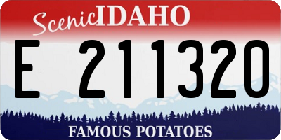 ID license plate E211320