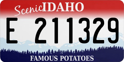 ID license plate E211329