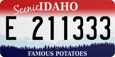 ID license plate E211333