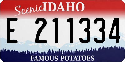 ID license plate E211334