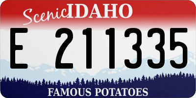 ID license plate E211335