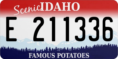 ID license plate E211336