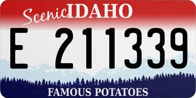 ID license plate E211339