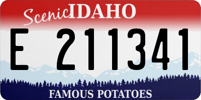 ID license plate E211341