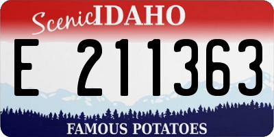 ID license plate E211363