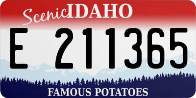 ID license plate E211365