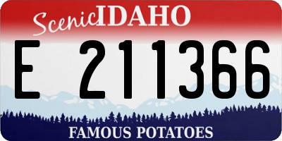 ID license plate E211366