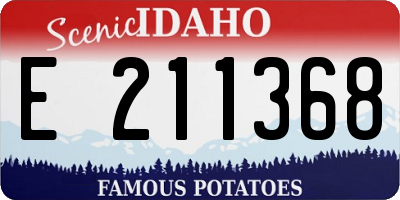ID license plate E211368