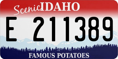 ID license plate E211389