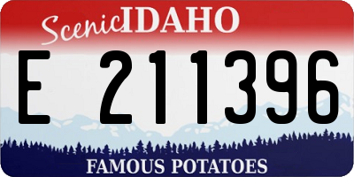 ID license plate E211396