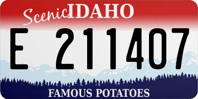 ID license plate E211407