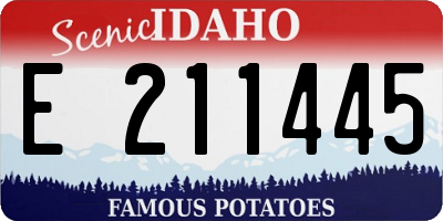 ID license plate E211445