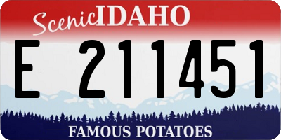 ID license plate E211451