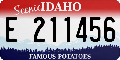 ID license plate E211456