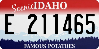 ID license plate E211465
